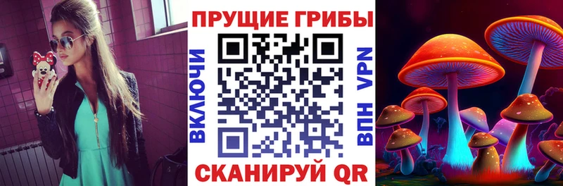 Галлюциногенные грибы Cubensis  маркетплейс какой сайт  Ростов  omg сайт 