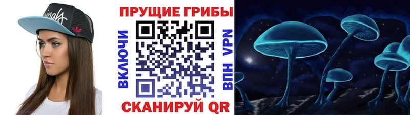 Галлюциногенные грибы мухоморы Ростов